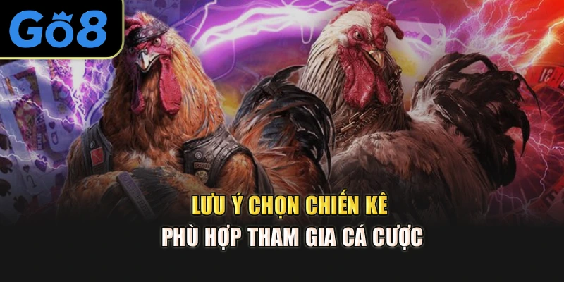 Lưu ý chọn chiến kê phù hợp tham gia cá cược